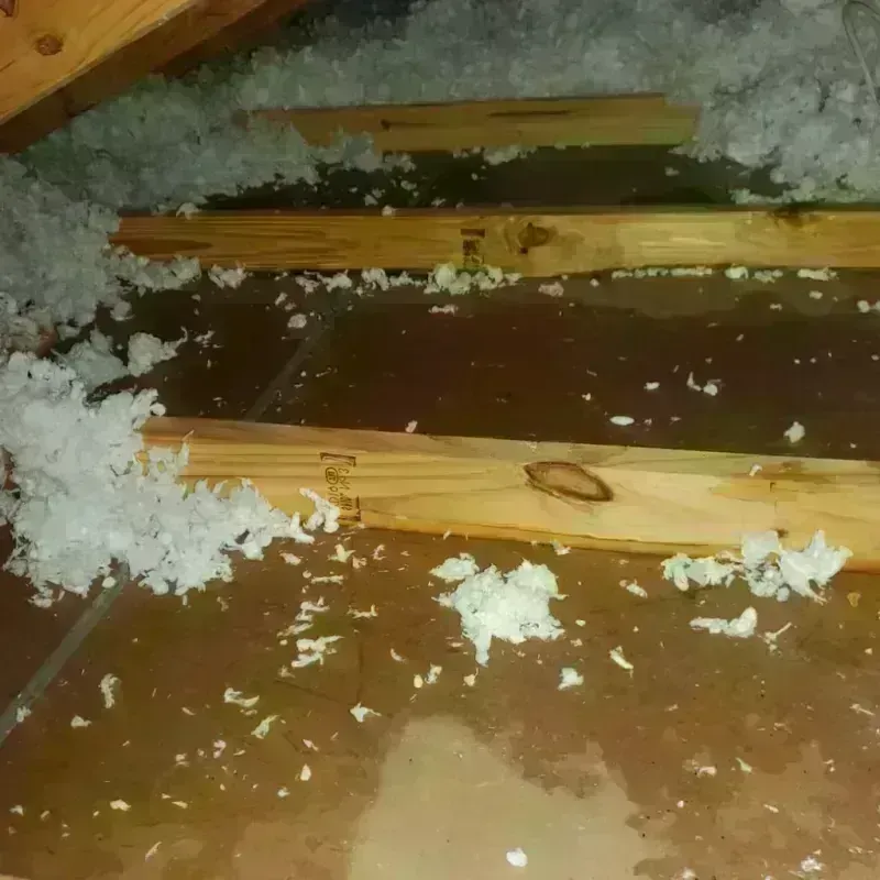 Attic Water Damage in Fowler, CA