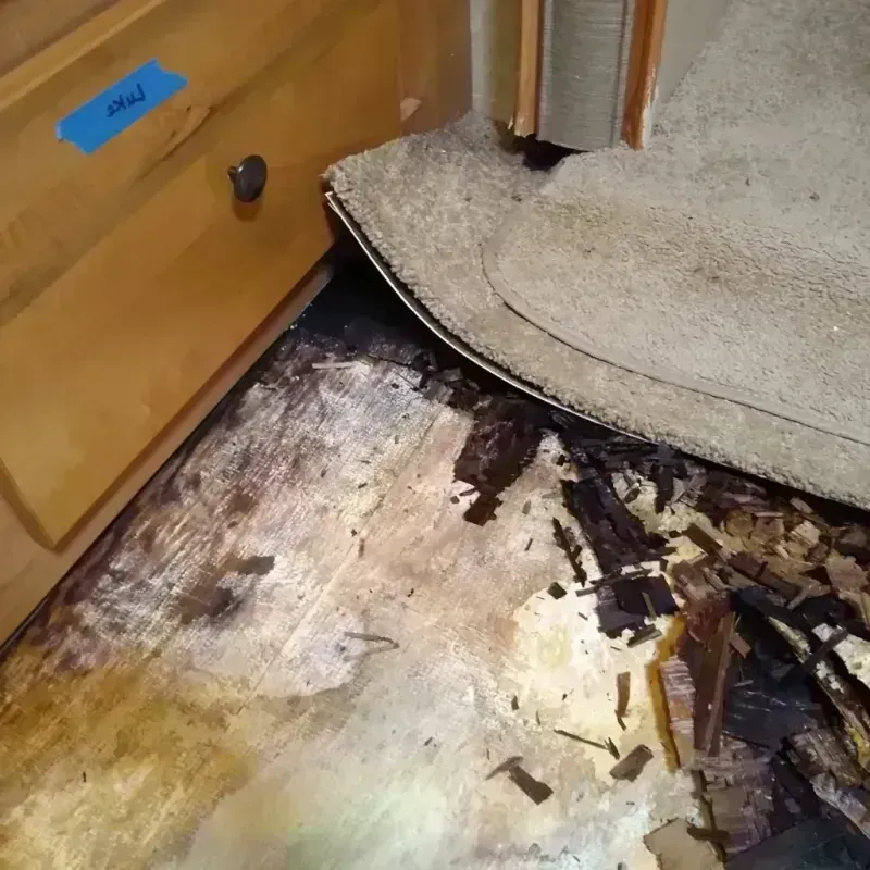 Wood Floor Water Damage in Fowler, CA